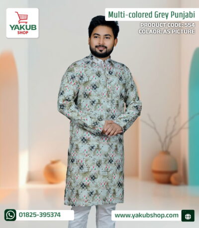 Multi-colored Grey Punjabi